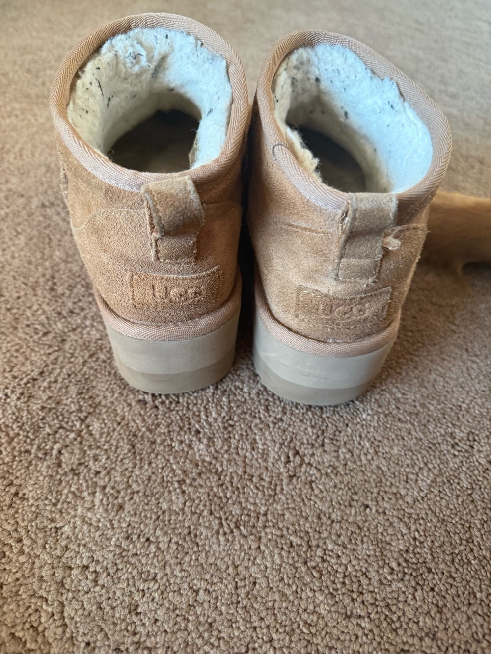 UGG Classic Mini Suede Ankle Boots in Chestnut
